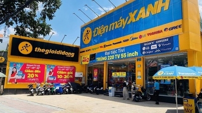 Dien May Xanh کمپنی کی آمدنی 2026 کے پہلے دو مہینوں میں VND 22,902 بلین تک پہنچ گئی۔