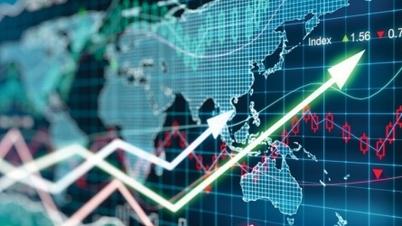 PYN Elite Fund: Sharp stock market correction creates opportunities for portfolio restructuring.
