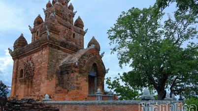 Scientific documentation is needed for the two national monuments, Pinang Tac Stone Trap and Po Rome Tower.