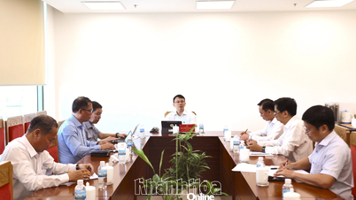 Develop a Program for Investment, Trade, and Tourism Promotion in 2026.