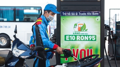 Cấp bách chuyển đổi xăng sinh học