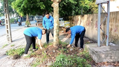 Para pemuda di komune Vu Quy menjadi sukarelawan untuk komunitas mereka.