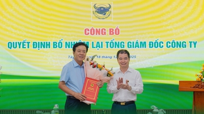 บริษัท บิ่ญเดียน เฟอร์ติไลเซอร์ จำกัด (มหาชน) มุ่งมั่นพัฒนาอย่างยั่งยืนในระยะยาว