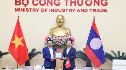 Acting Minister Le Manh Hung held a working meeting with the Lao Minister of Industry and Trade.