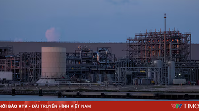 Global LNG exports hit a six-month low.