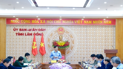 Lam Dong-provinsen vurderer et forslag om å investere i et kullkraftverk og et aluminiumselektrolysekompleks i Vinh Hao kommune.