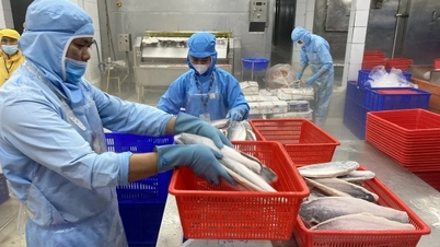 Industri makanan laut Vietnam menegaskan posisinya di pasar strategis Uni Eropa.