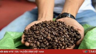 Vietnam är den näst största leverantören av kaffe till Japan.