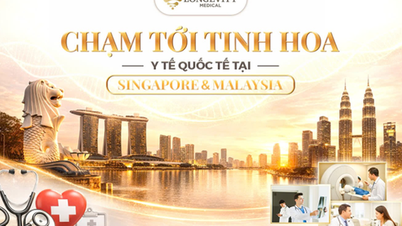 En livfull resa med hälsovårdsupplevelser i Singapore och Malaysia.