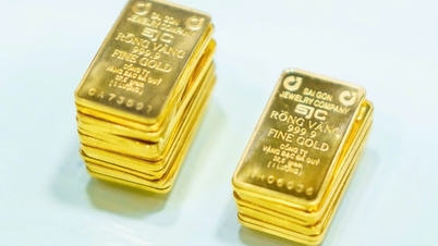 SJC gold bar prices fell by 9 million dong; silver and stocks also plummeted.