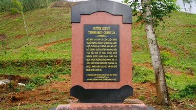 លីអា និងរឿងរ៉ាវនៃ "ការយកពីអ្នកមាន ហើយឲ្យទៅអ្នកក្រ"