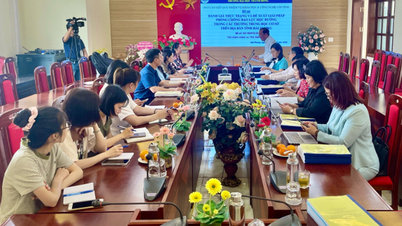 Thanh Dong Üniversitesi, "Hai Duong ilindeki ortaokullarda okul şiddetini önlemeye yönelik mevcut durumun değerlendirilmesi ve önerilen çözümler" başlıklı araştırma projesinin sonuçlarını değerlendiriyor.