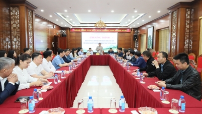 Menyambut dan bekerja sama dengan delegasi dari Dinas Pertanian dan Lingkungan Hidup Provinsi Tuyen Quang untuk studi dan pertukaran pengalaman.