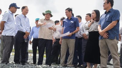 Undersökning om projektens framsteg i Vinh Phong kommun.