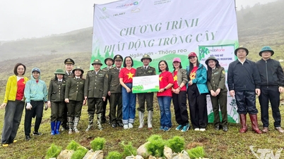 សំណាប​ជិត ៥៥.០០០ ដើម​ត្រូវបាន​ចែកចាយ​ទៅ​ដាំ​ដើមឈើ​ឡើងវិញ​លើ​ដី​ស្ងួត​ និង​ភ្នំ​។