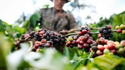 Apelamos às empresas para que partilhem o fardo com os agricultores em meio às incertezas globais.