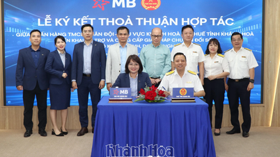 MB Bank khu vực Khánh Hòa - Thuế tỉnh Khánh Hòa: Hỗ trợ và cung cấp giải pháp chuyển đổi số cho hộ kinh doanh