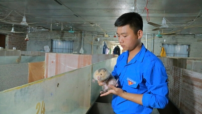 Loa toả khát vọng khởi nghiệp trong thanh niên
