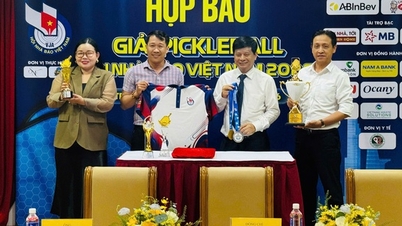 ការប្រកួត Pickleball សមាគមអ្នកកាសែតវៀតណាម ឆ្នាំ២០២៦៖ វេទិកាមួយសម្រាប់ភ្ជាប់ទំនាក់ទំនង និងផ្សព្វផ្សាយស្មារតីកីឡា។