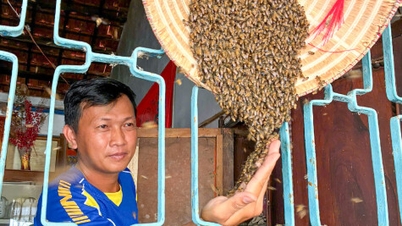 Einzigartige Methoden zur Zähmung von Honigbienen.