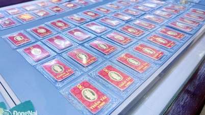 Gold prices continued their sharp decline, with SJC gold bars falling to 163.8 million VND per tael.