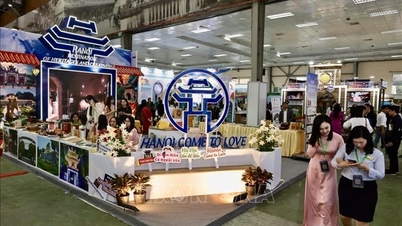 VITM 2026 accelerates trade connections with 400 domestic and international buyers.