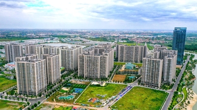 Apartment prices in Vietnam have increased by over 300% in the last 10 years, far surpassing those of landed houses.
