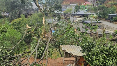 Lao Cai arbeitet mit Hochdruck an der Reparatur des Stromnetzes nach den Gewittern und starken Winden.