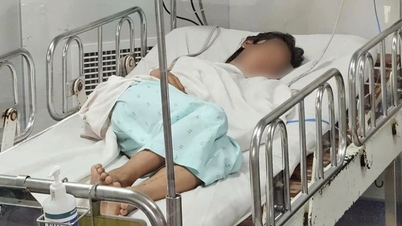 En ung flicka smittad med meningokocksjukdom kopplad till ett dödsfall i An Giang-provinsen har räddats.