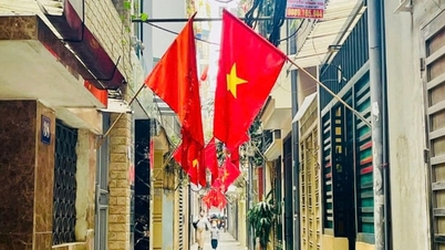 Dong Da District removes environmental bottlenecks starting from alleyways and streets.