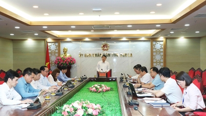 Họp chuẩn bị nội dung tham gia chương trình Bộ trưởng Bộ ngoại giao tiếp Thống đốc tỉnh Okayama, Nhật Bản