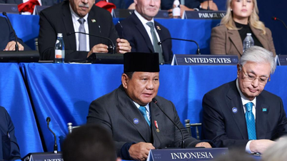 Indonesia no se ha comprometido a aportar 1.000 millones de dólares al "Consejo de Paz".