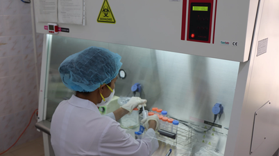 Le dépistage précoce est essentiel pour mettre fin à la tuberculose.