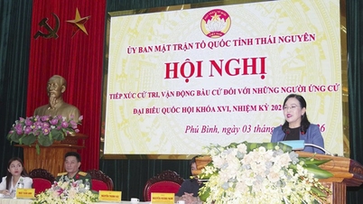 Thai Nguyen logró un alto porcentaje de escaños femeninos en las elecciones tanto de la Asamblea Nacional como del Consejo Popular Provincial para el nuevo mandato.