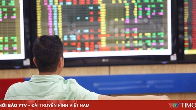 សន្ទស្សន៍ VN ធ្លាក់ចុះក្រោម 1,600 ពិន្ទុ។