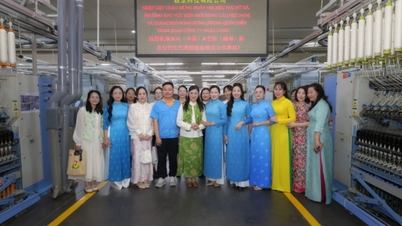 Vietnam'ın Mong Cai şehrinin sınır bölgelerindeki kadın dernekleri heyeti, Çin'in Dongxing şehrindeki kadın derneği heyetiyle dostane bir görüşme gerçekleştirdi.