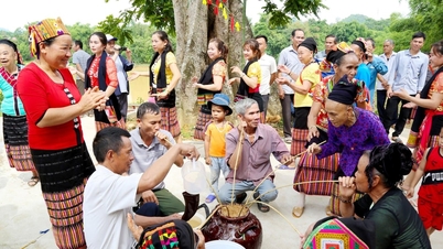 The dream of ecotourism in Thanh Binh Tho