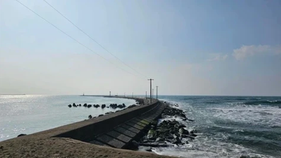 Το Υπουργείο Εσωτερικών παρέχει πληροφορίες σχετικά με το περιστατικό στο οποίο εμπλέκονται 8 Βιετναμέζοι εργάτες στην Ιαπωνία.