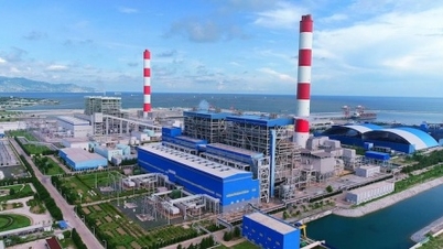 EVNGENCO3 (PGV): Виробництво за перші два місяці року досягло 13% від плану.