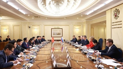 ファム・ミン・チン首相は、ロシア連邦議会上院議長のヴァレンティナ・マトヴィエンコ氏と会談した。