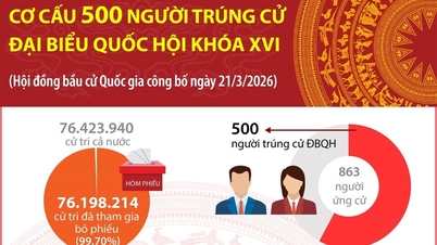 Infografía: Estructura de los 500 miembros electos de la XVI Asamblea Nacional.