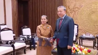 វៀតណាម និងកម្ពុជា ពង្រឹងកិច្ចសហប្រតិបត្តិការលើការងារជួរមុខ។