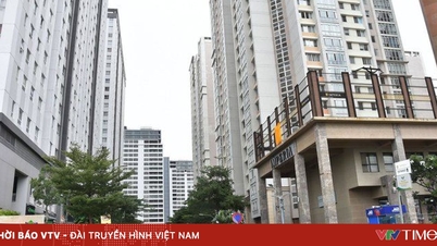 לתקן את חוק הדיור ואת חוק עסקי הנדל"ן כדי להסיר צווארי בקבוק בשוק.