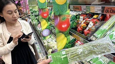 食物繊維を大量に摂取する、いわゆる「ファイバーマキシング」という流行は、本当に体に良いのでしょうか？