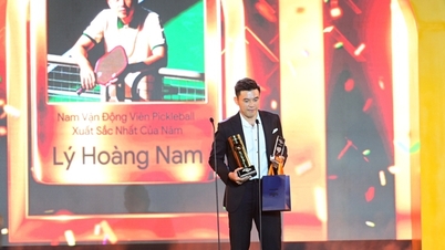 Ly Hoang Nam și Sophia Phuong Anh câștigă la Vietnam Pickleball Awards 2025.