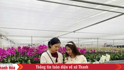 En vue de la Conférence de promotion des investissements de la province de Thanh Hoa 2026 : Transformer le potentiel de l’agriculture de haute technologie en un avantage.