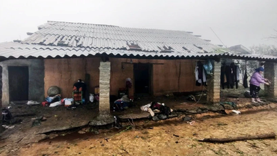 শিলাবৃষ্টি ও প্রবল বাতাসের কারণে তুয়েন কোয়াং-এর ৫০ বিলিয়ন VND মূল্যের ক্ষতি হয়েছে।