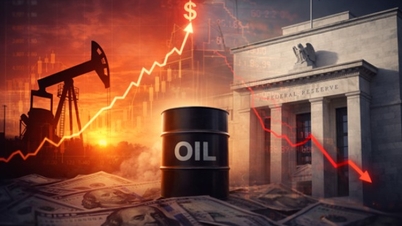 Gasoline and diesel prices today, March 24th: Continuing their sharp decline.