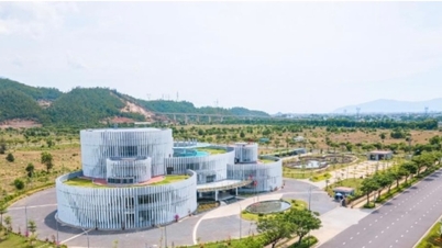 Strengthening the management of industrial zones and clusters.