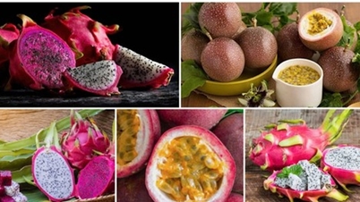 Vietnamese passion fruit, with a 32% violation rate regarding residue limits, faces the risk of stricter EU controls.